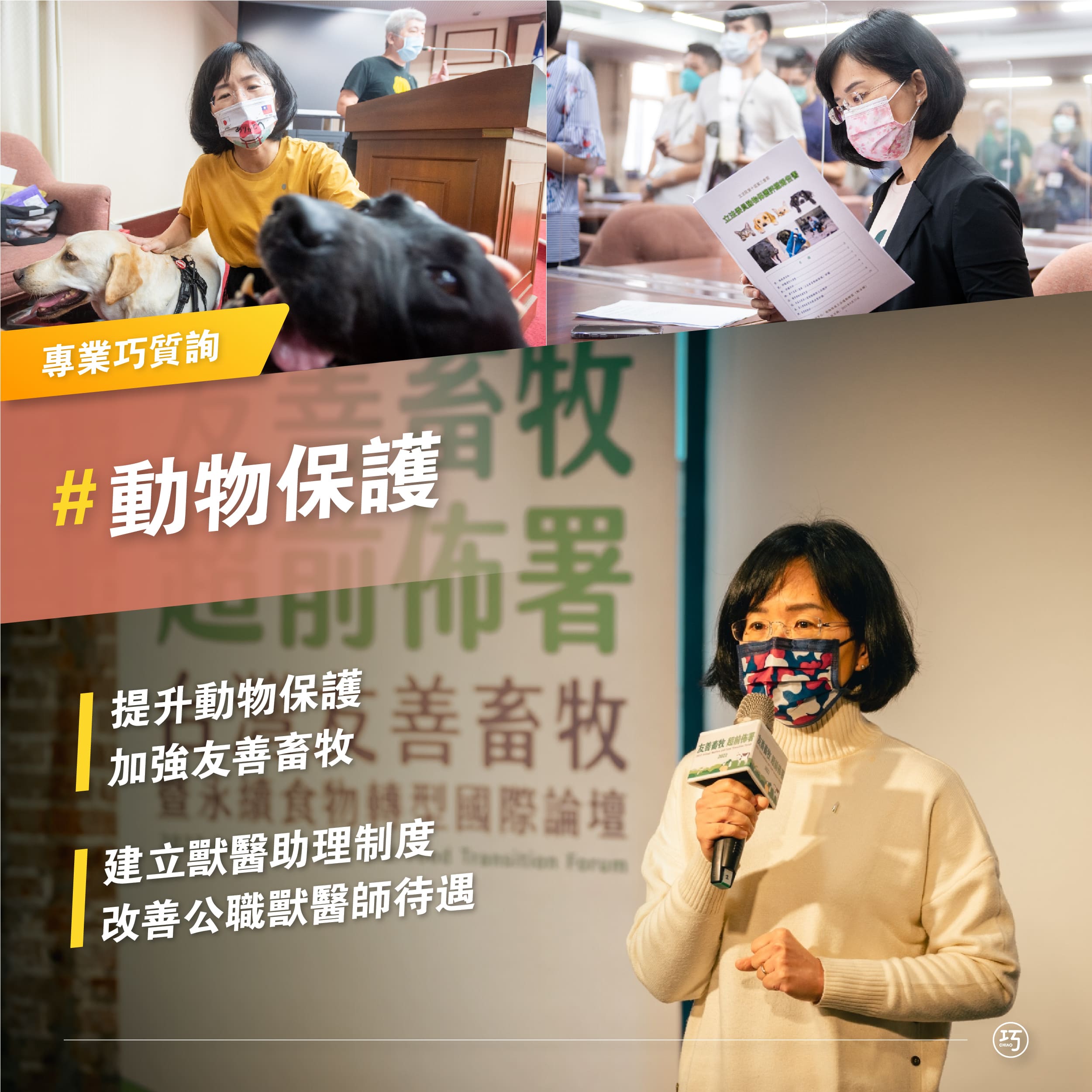 220118 國會成績單 圖18