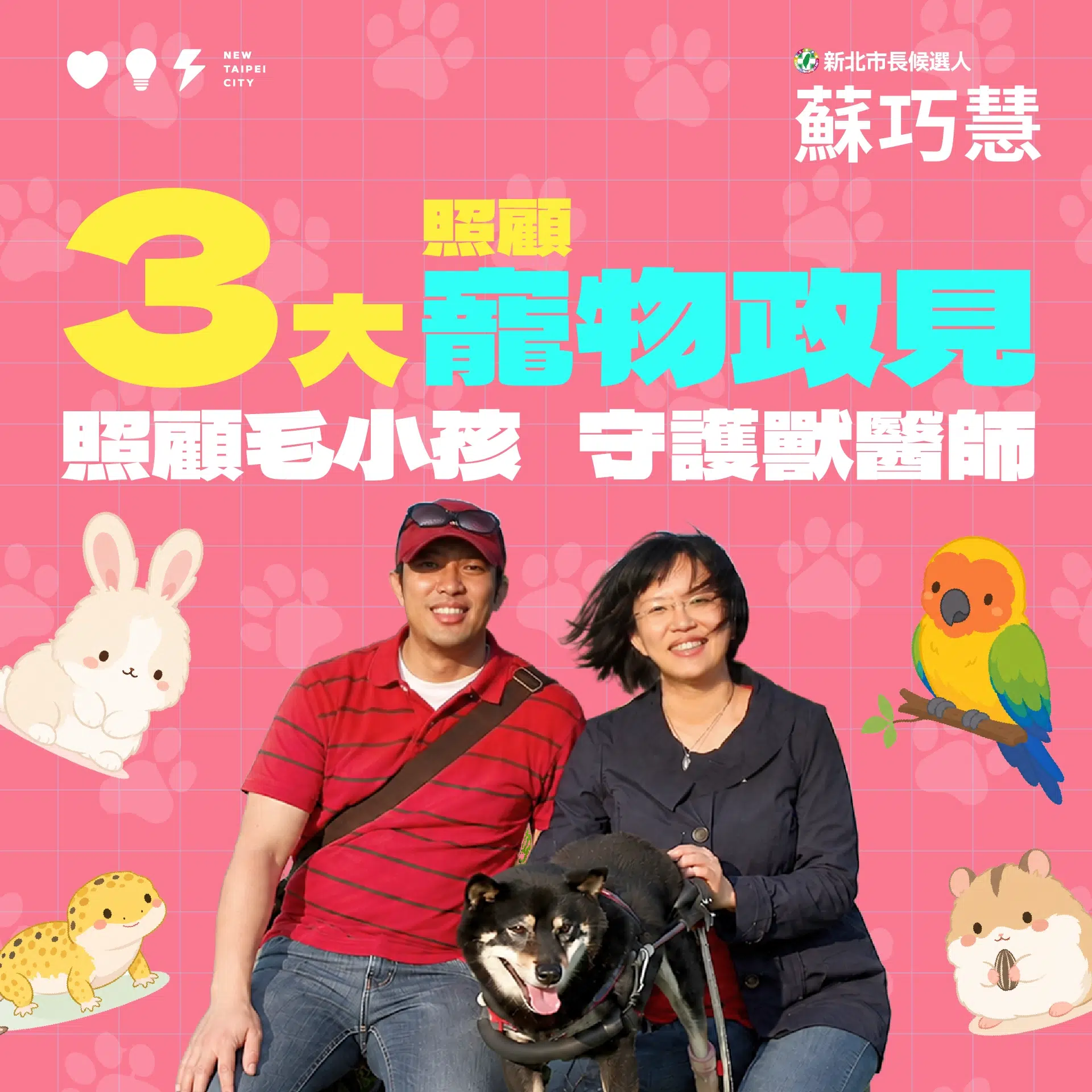 20260518 寵物政見_社群圖卡_01