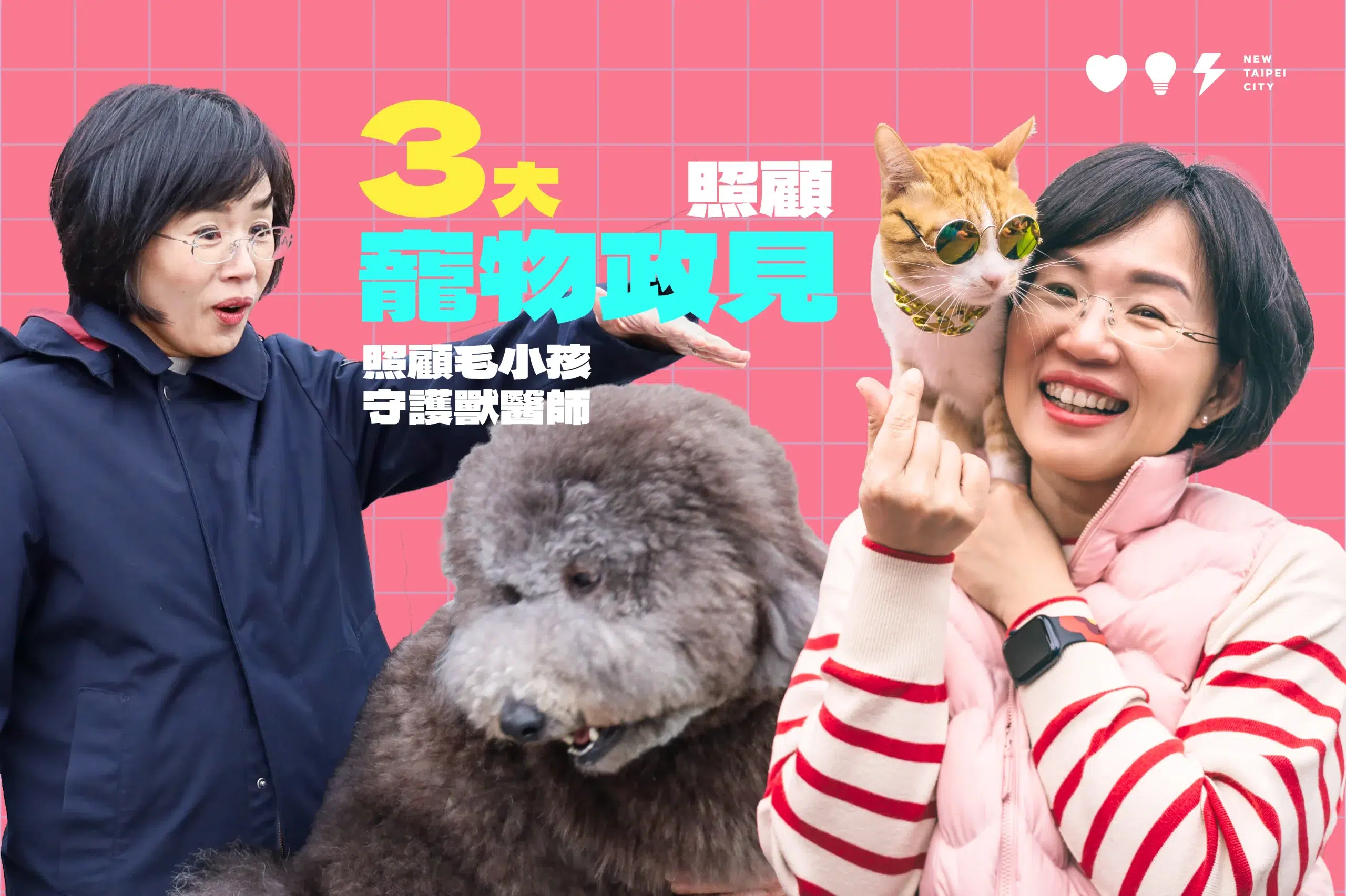 三大寵物照顧政見